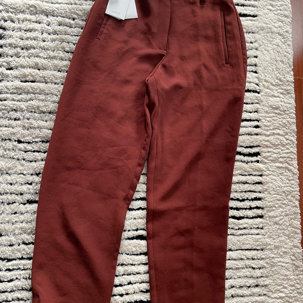 Aritzia Wilfred High-Waisted Pants in Rust